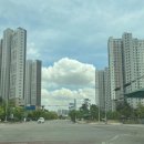 임신 23주 일상(feat.정밀초음파/임당검사)