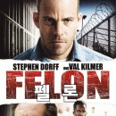 2008 | 교도소 영화 펠론 (Felon, 2008) 상세 줄거리 결말 후기 정보, 감옥 범죄 스릴러