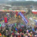 우리 고장의 특별한 축제: 창녕군 영산쇠머리대기 이미지