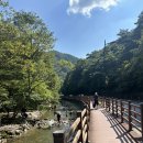 강천산군립공원(구장군폭포) | 순창여행, 강천산군립공원, 강천사계곡, 병풍폭포, 구장군폭포