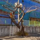 동평여자중학교 이미지