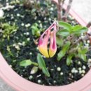 석곡농장 이미지