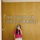 신라 모노그램 강릉 조식 수영장 가격 할인 호텔 vs 레지던스 차이 비교 추천