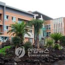 신효동-28 이미지