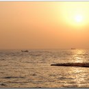 남해 금빛 이미지