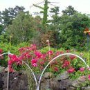 유정민박 이미지