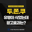 (주)CTR | 유행 식어버린 '두쫀쿠' 광고 데이터는 어땠을까?(두쫀쿠 광고후기)
