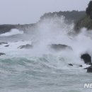 태풍 '링링' 중대본 2단계로 격상..위기경보 '경계'로(종합) 이미지