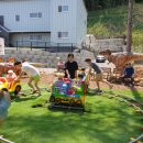 킹덤키즈-B 이미지