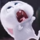 하이헤어샵 이미지