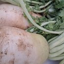 시골살이 집으로 이미지