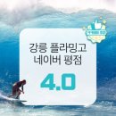 플라밍고서프