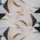 령이래쉬