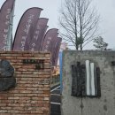 바잘트38.1