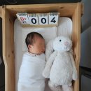 화사랑병원 | 한마음병원 출산 후 맘스힐 산후조리원 입소 첫날 리뷰!