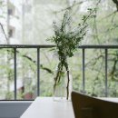 팡팡과일 이미지