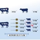 설국농장 이미지