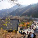 필례 게르마늄 온천 이미지