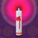 대성인터내셔날 이미지