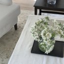 Lea 르에 26Resort 쇼룸 방문후기
