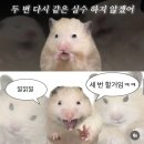 세윤식품 | 2월의 이지선