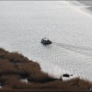 순천만의 추억 이미지