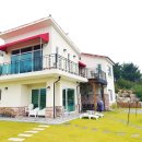 로젤 147 이미지