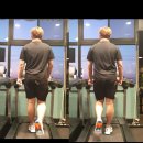 블로썸 핏 이미지