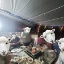 운일암숲펜션 이미지