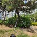 돈돈이네 | 유아과학은 호기심의 시작! 다독다독과학 서식지와 식물의생활 알아보기