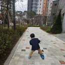봄날태권도 | 봄날의 6살아이 버미 일상