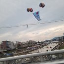 보은농장 | 보은 대추축제 후기