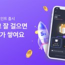 슈가디깅 이미지