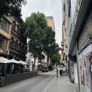 1234피시 | 멜버른 이야기2