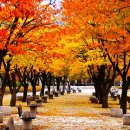 모정기사식당 이미지