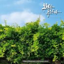 푸르다쉼터 이미지