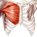 더 바디 피트니스 김해 어방점 이미지