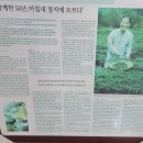 화개축산 이미지