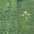 도형목욕탕 이미지