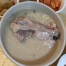 계당지 | 일산삼계탕 맛집 마두동삼계탕 진삼계탕 방문 포장 후기
