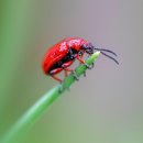 장수치매정신통합센터 | 통합돌봄 정책: &#39;모든 돌봄을 국가가 책임진다&#39;는 오해와 진실