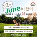 도그라운드 이미지