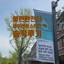 과감 | 왜 이렇게 불쾌한 걸까, 국립현대미술관 데미안 허스트 전시회 과감한 솔직 후기