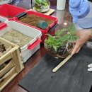 아쿠아플랜트디자인 이미지