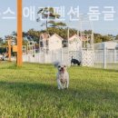 플라워캠핑장 이미지