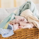 드라이&크리닝 이미지