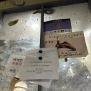 부주산국제클라이밍센터 | 청주 실내 지구력 일번가 클라이밍 센터 ㅣ 일일체험 갔다가 당일 회원 등록까지 하고온곳