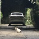 무순소세지 이미지