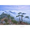 바람불어 좋은날 이미지