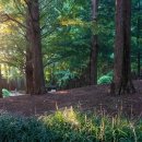 곤충생태관_3 이미지